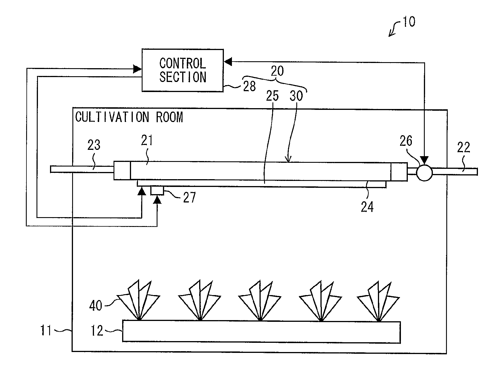 Lighting device, plant cultivation device, and method for cooling lighting device