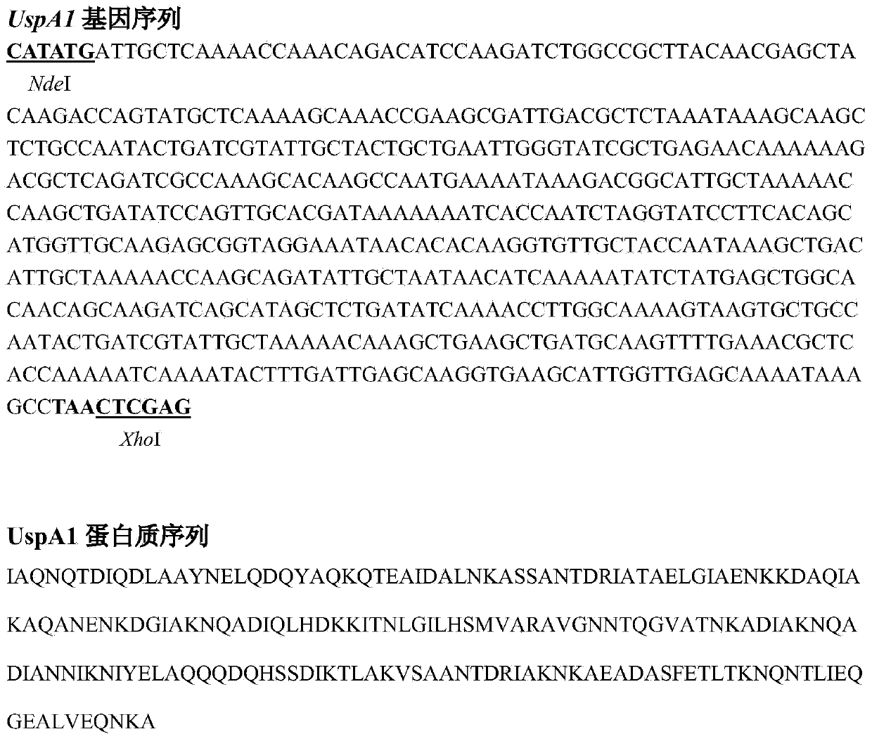 Method and kit for performing quick co-detection on anti-Mc (Moraxella catarrhalis) IgM (Immunoglobulin M) and IgG (Immunoglobulin G) antibodies based on magnetic separation and multi-color quantum dot labeling