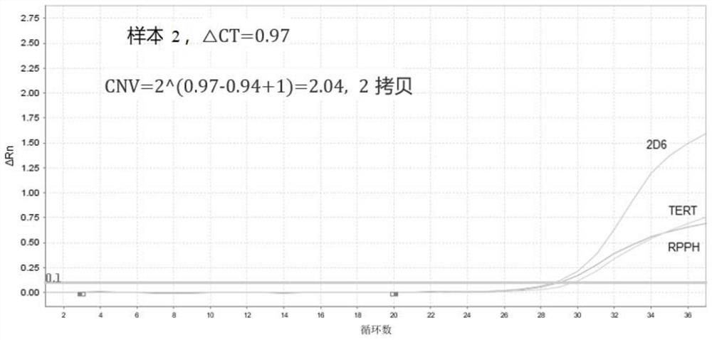 Primer probe combination, kit and method for detecting copy number variation and genotyping of human CYP2D6