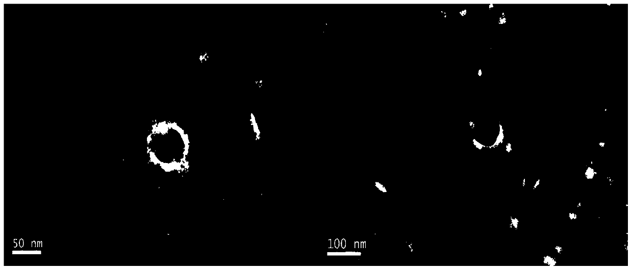 Intermittent hypoxia treated stem cell derived exosome and application in cardiac muscle tissue