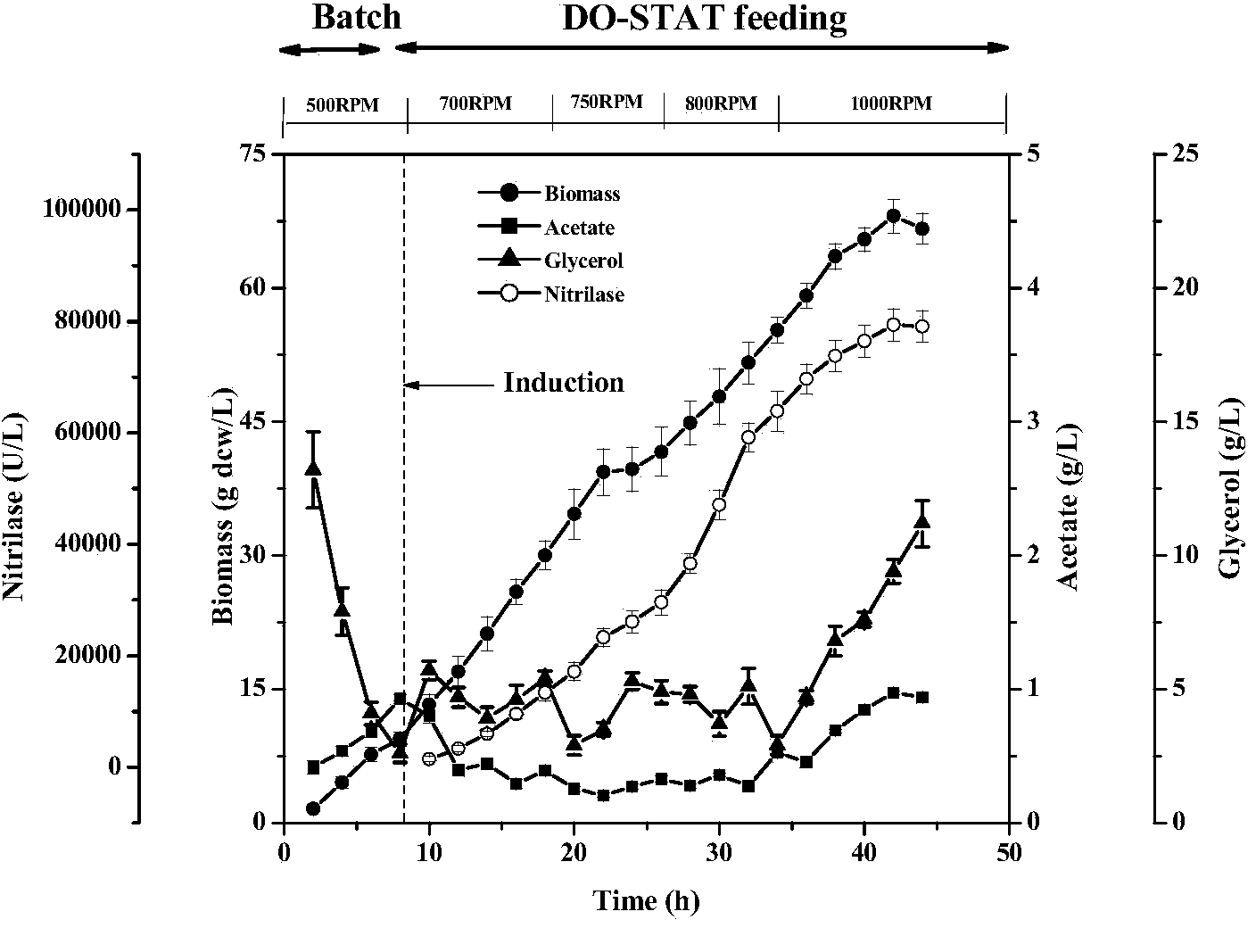 High-density fermentation method of engineering bacteria containing nitrilase