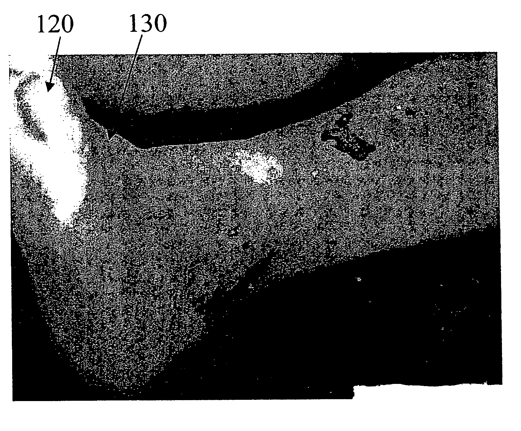 Hyperspectral imaging calibration device