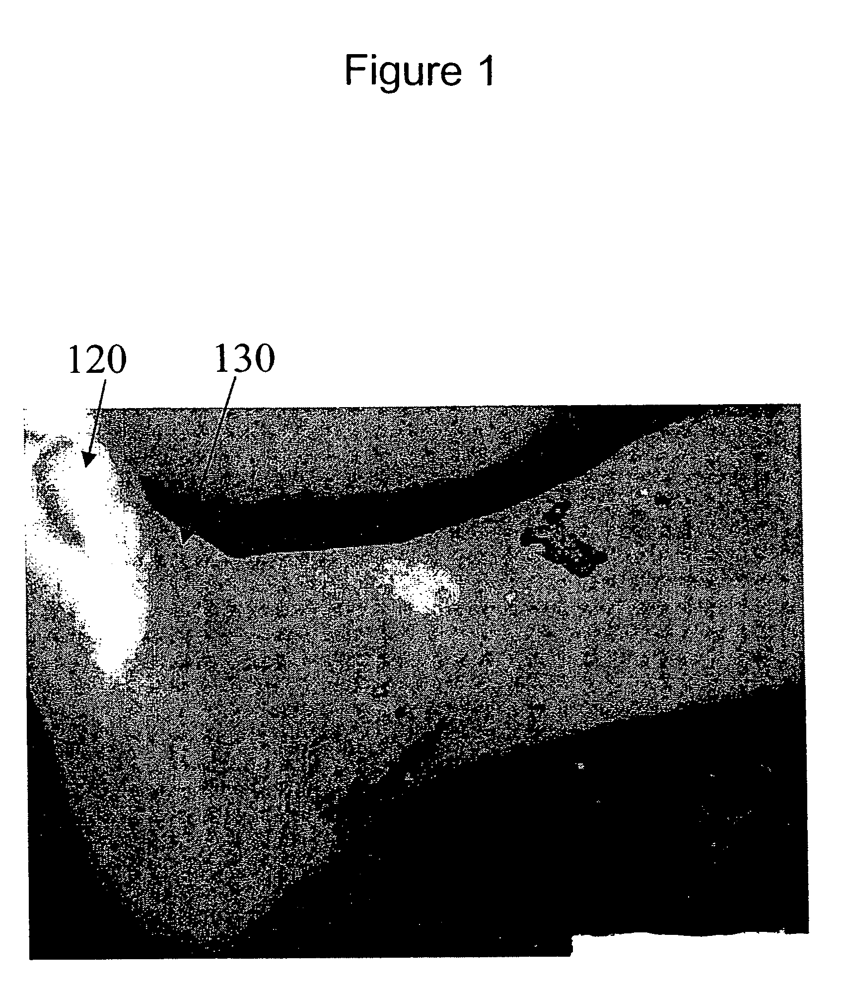 Hyperspectral imaging calibration device