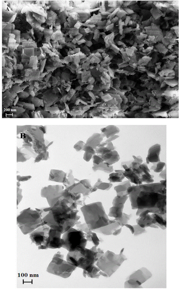 Biosensor based on metal organic skeleton material and application thereof