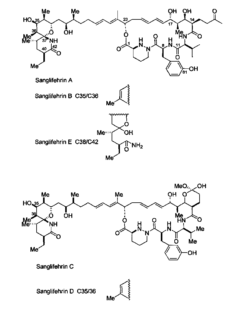 Biosynthetic gene cluster of sanglifehrin