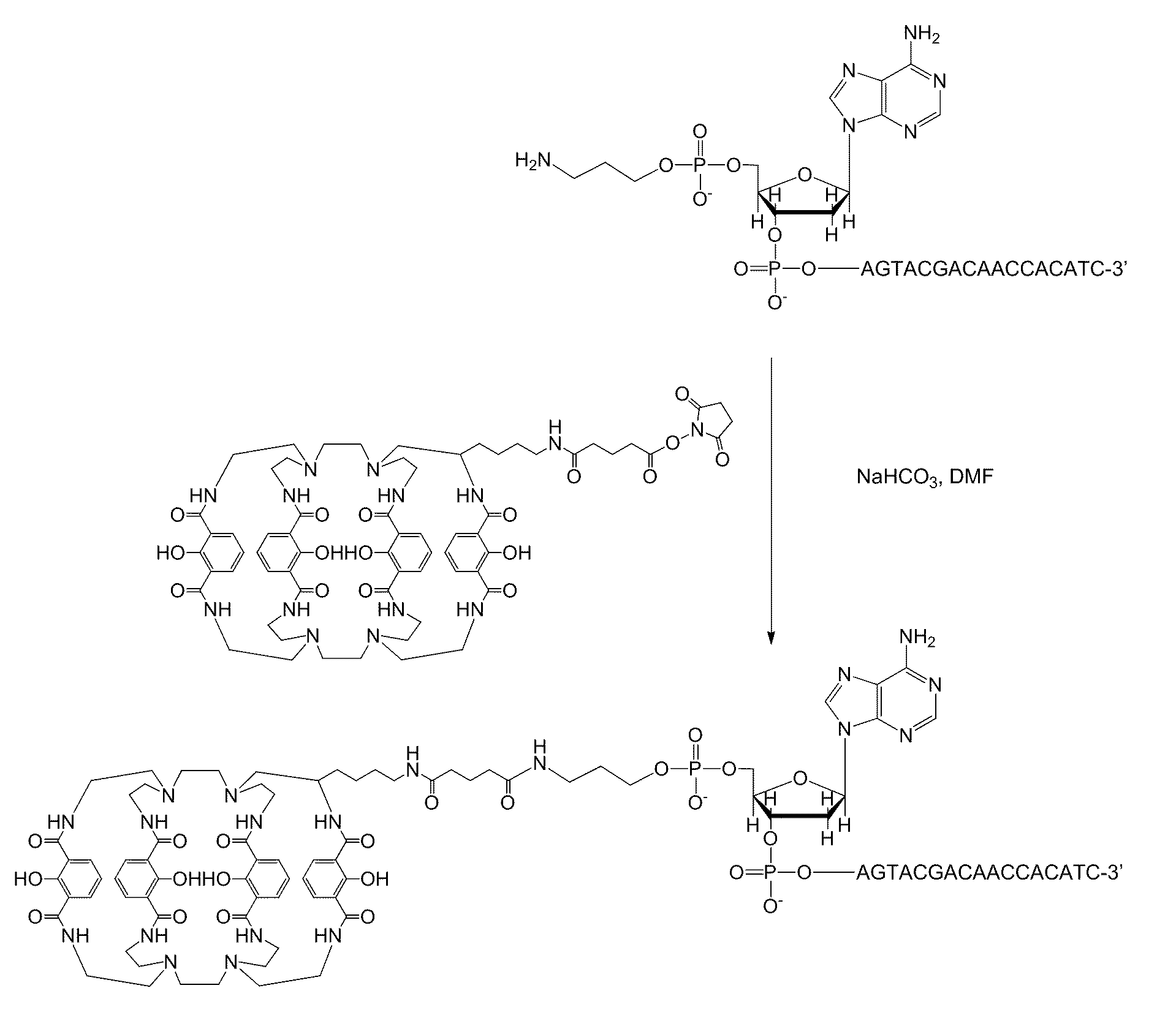 Radiopharmaceutical complexes