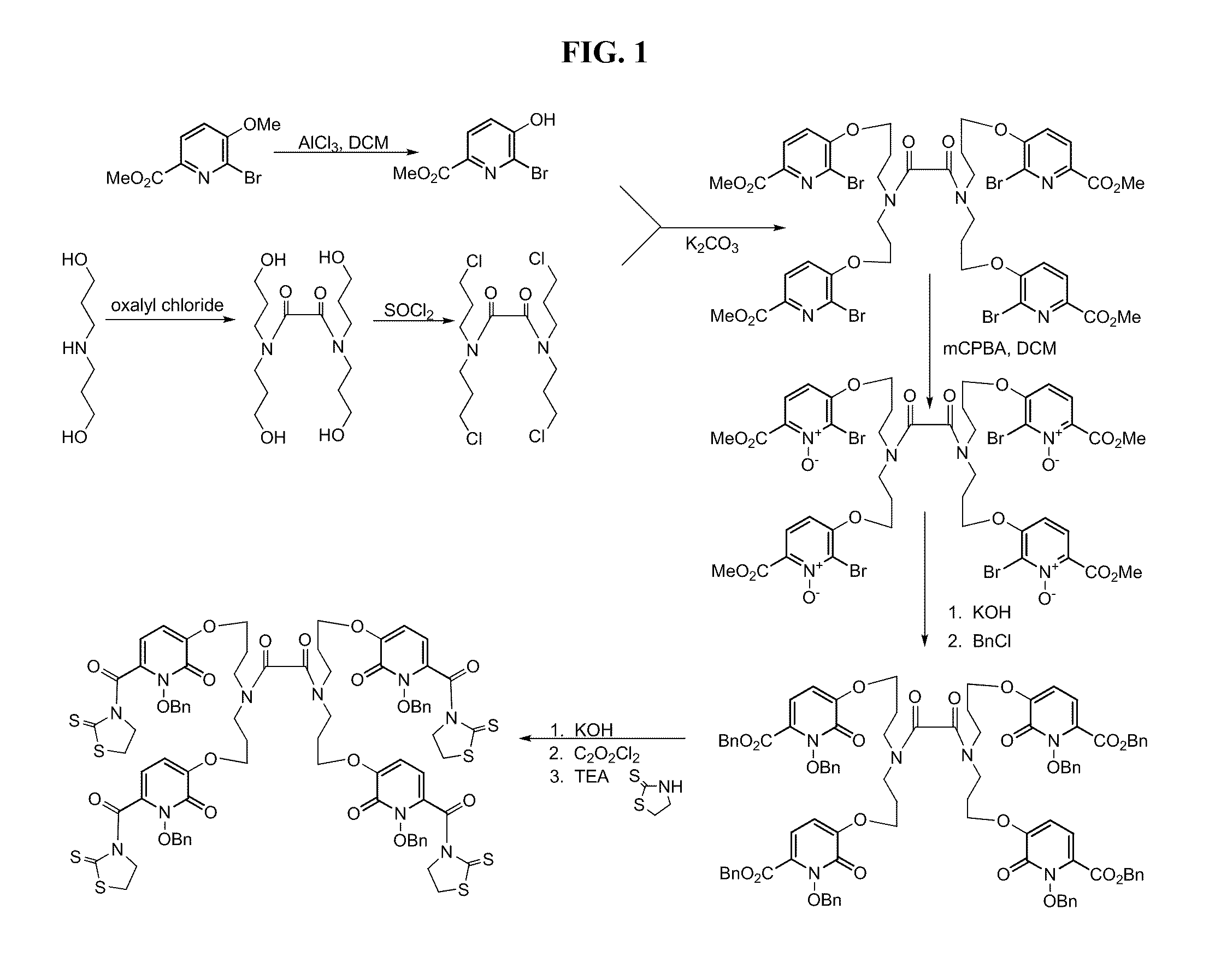 Radiopharmaceutical complexes