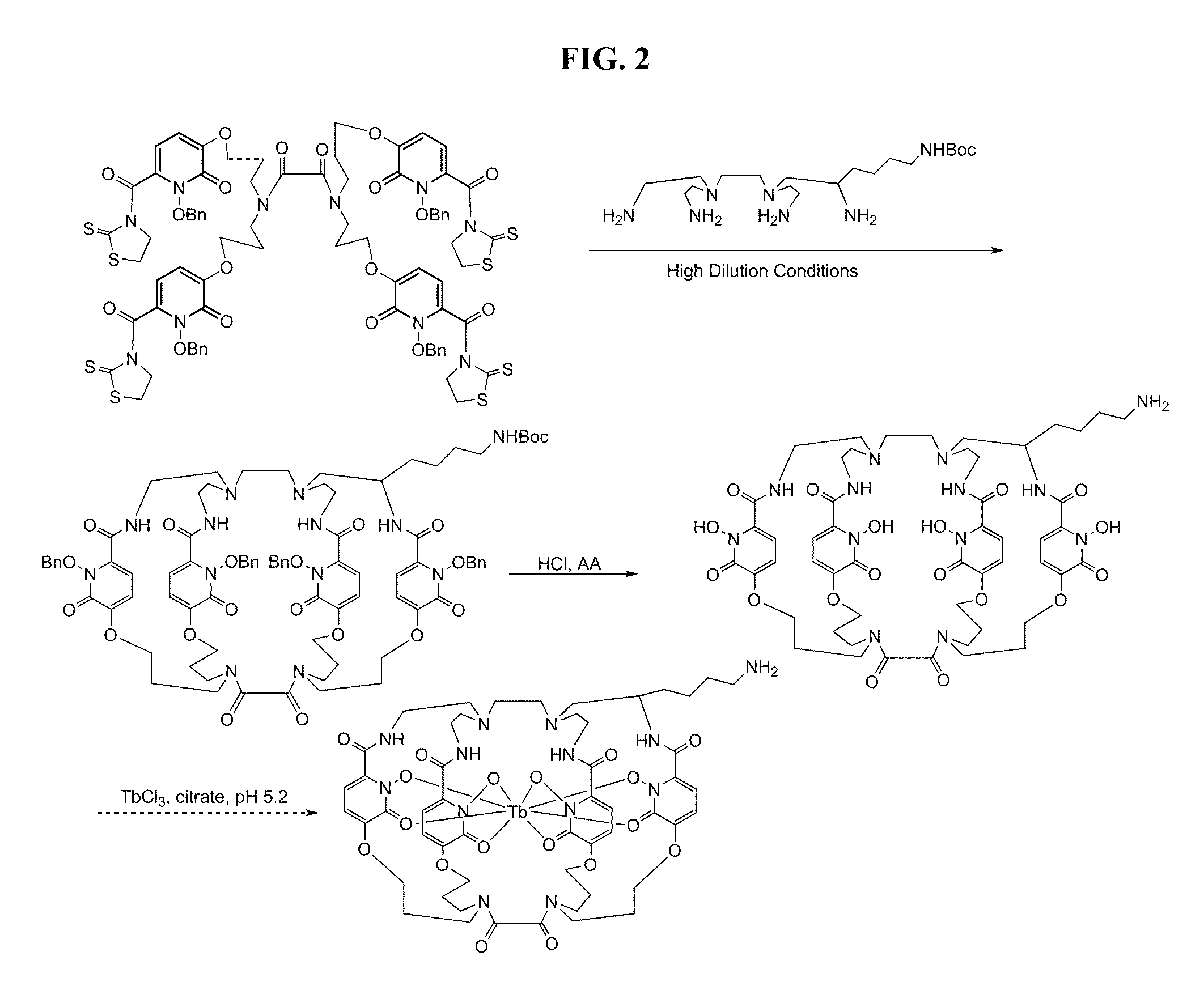 Radiopharmaceutical complexes