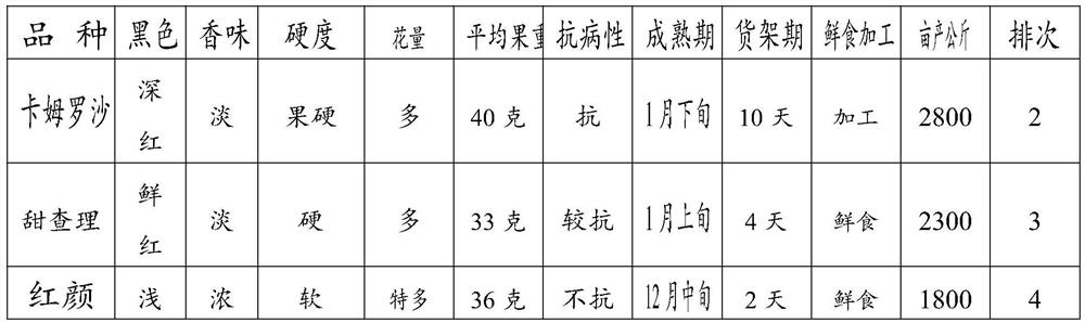 Cultivation method of new high-yield high-quality strawberry variety