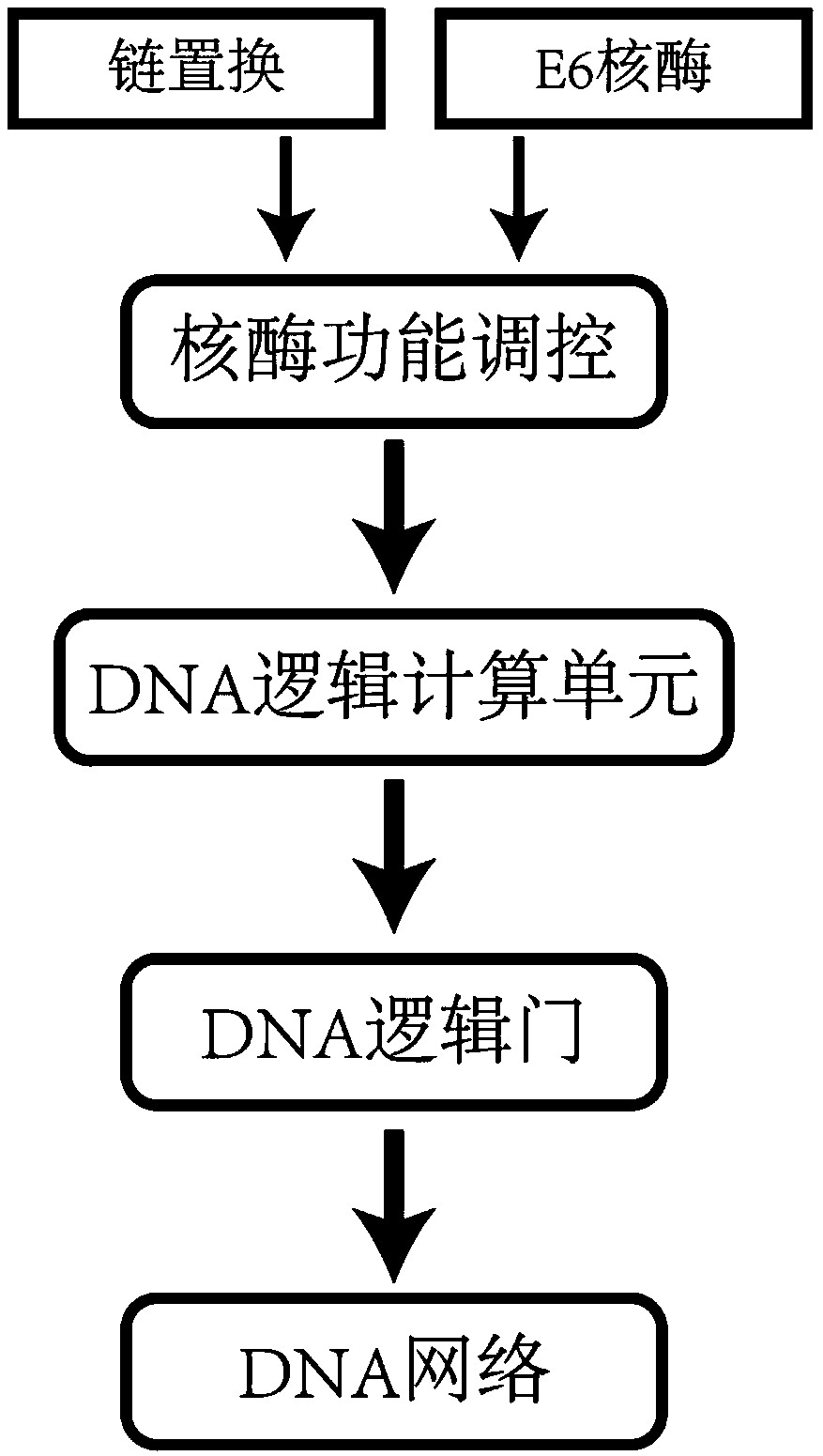 DNA network construction method for regulating and controlling E6 ribozyme function based on chain replacement