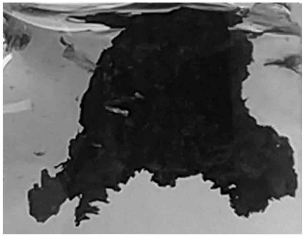 Porous three-dimensional phosphorene and its preparation method and application