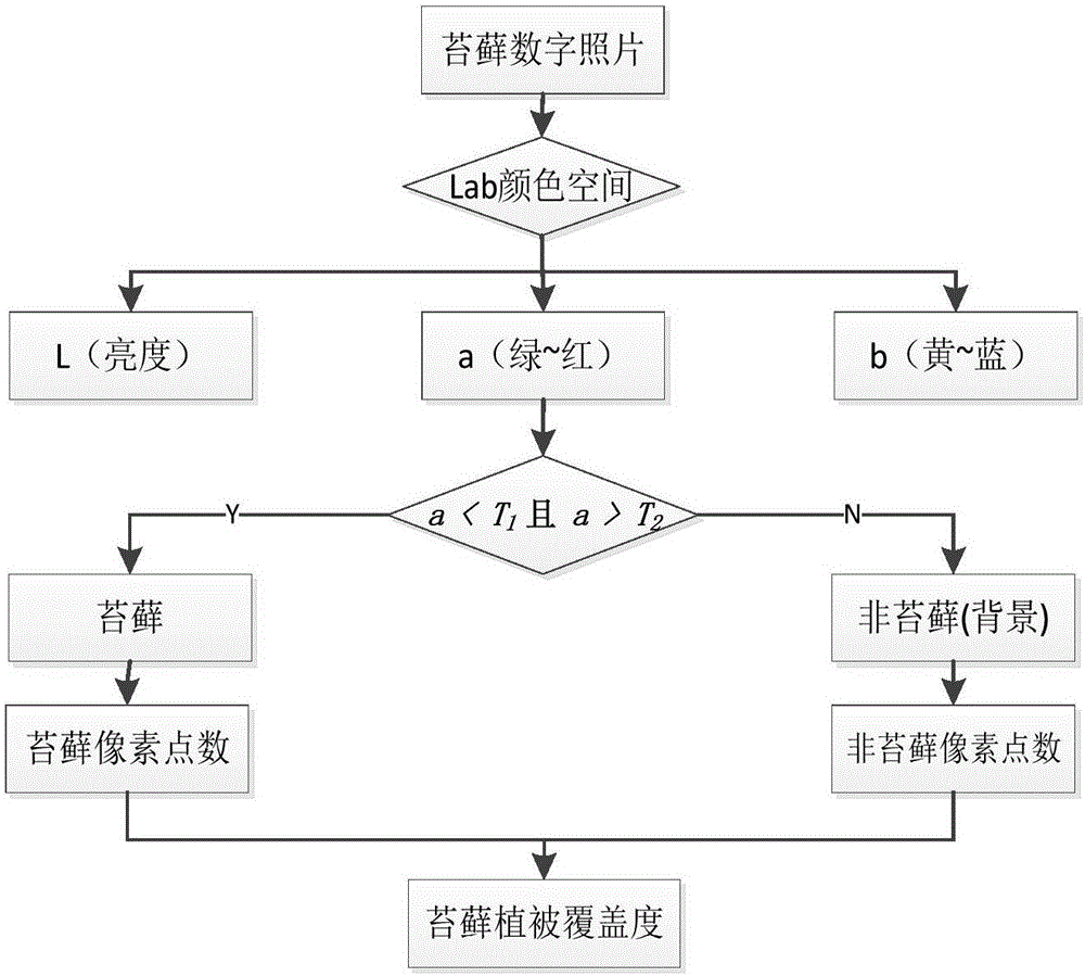 Lab color space algorithm-based moss coverage degree extracting method