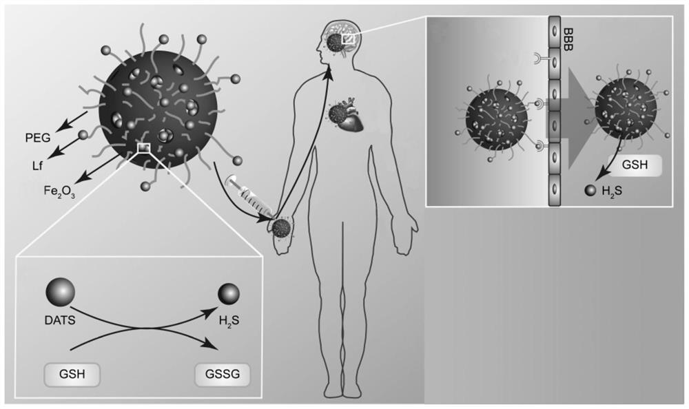 Hydrogen sulfide controlled-release brain-targeted nano system for protecting nervous system after sudden cardiac arrest and preparation method thereof