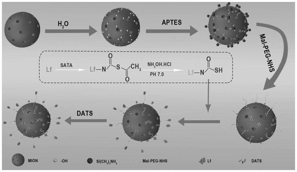 Hydrogen sulfide controlled-release brain-targeted nano system for protecting nervous system after sudden cardiac arrest and preparation method thereof