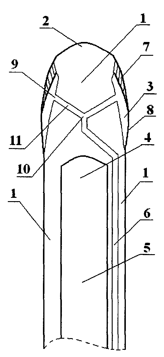 Contact-limited type double saccule double-cavity catheter