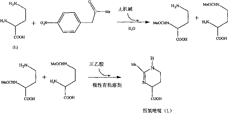 Artificial synthesis method of 1,4,5,6-tetrahydro-2-methyl-4-pyrimidine carboxylic acid