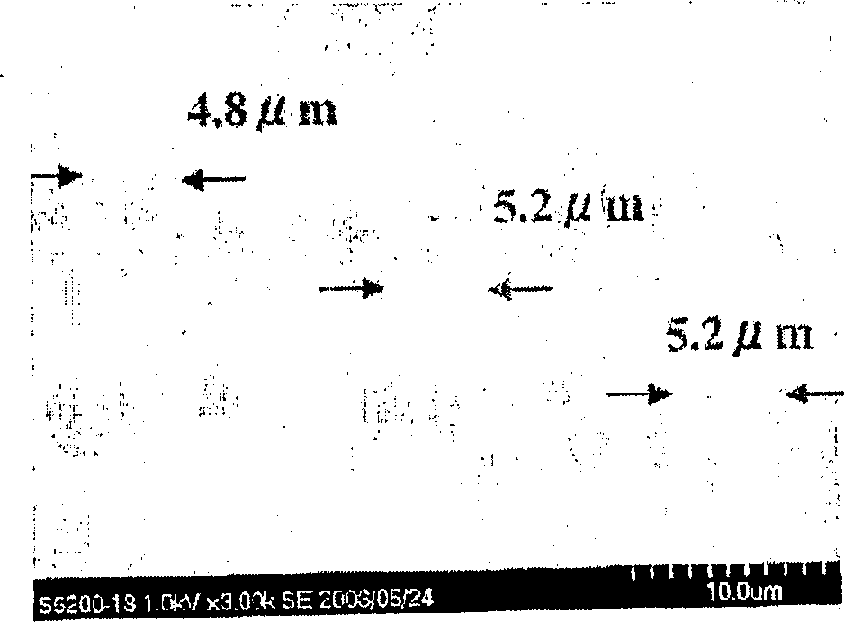 Biodegradable film having honeycomb structure