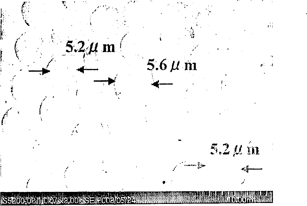 Biodegradable film having honeycomb structure