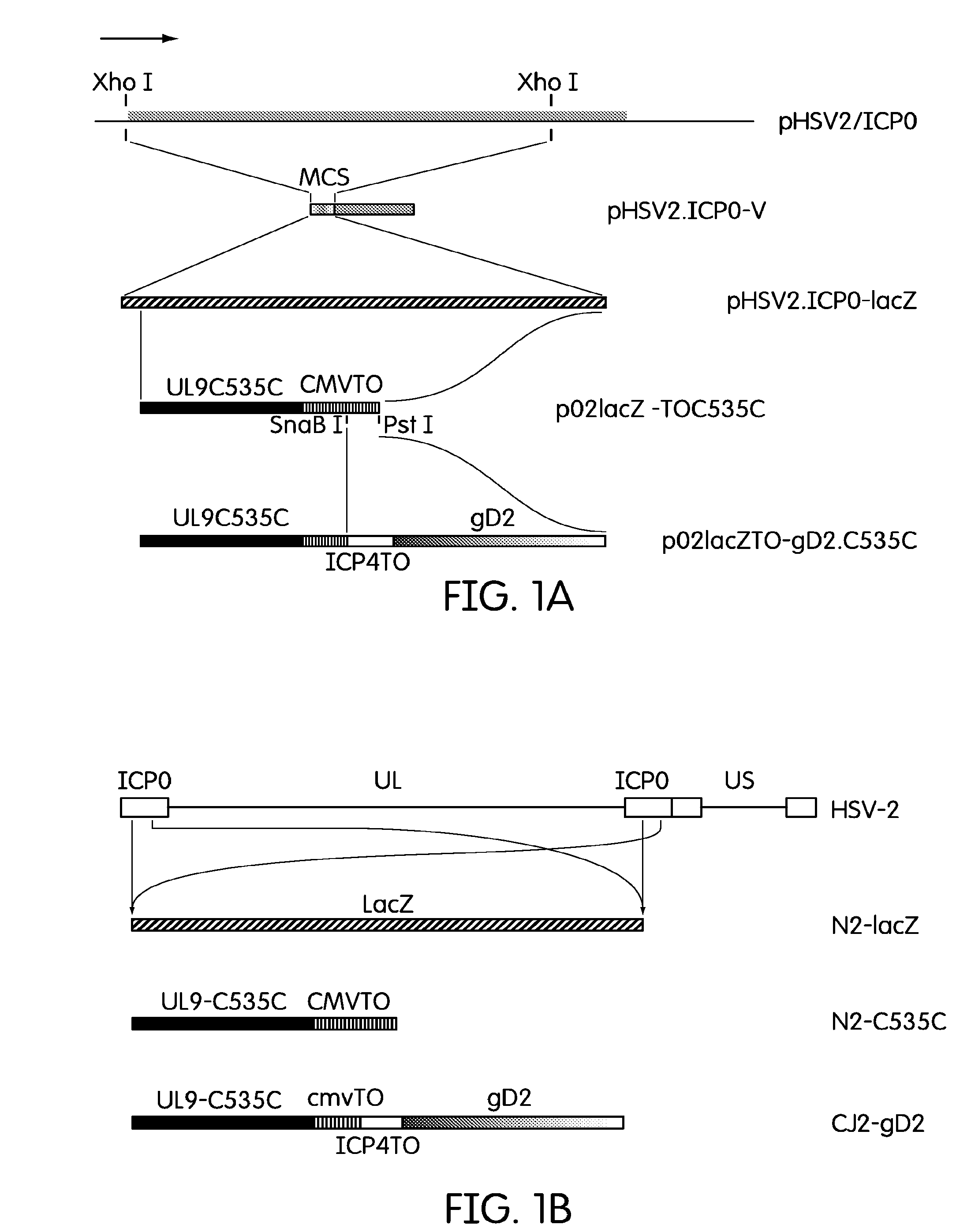 Herpes Simplex Virus Vaccines