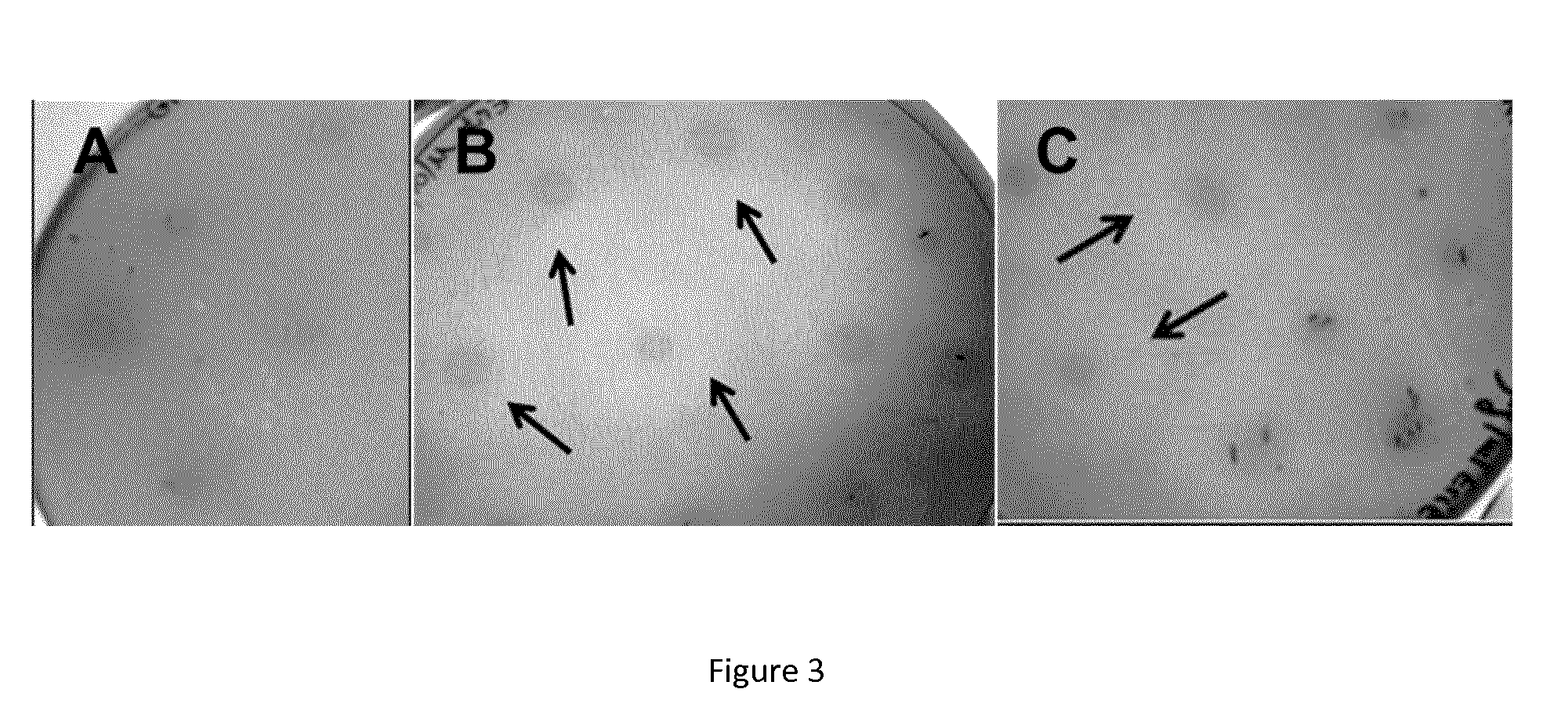 Recombinant cellulosome complex and uses thereof