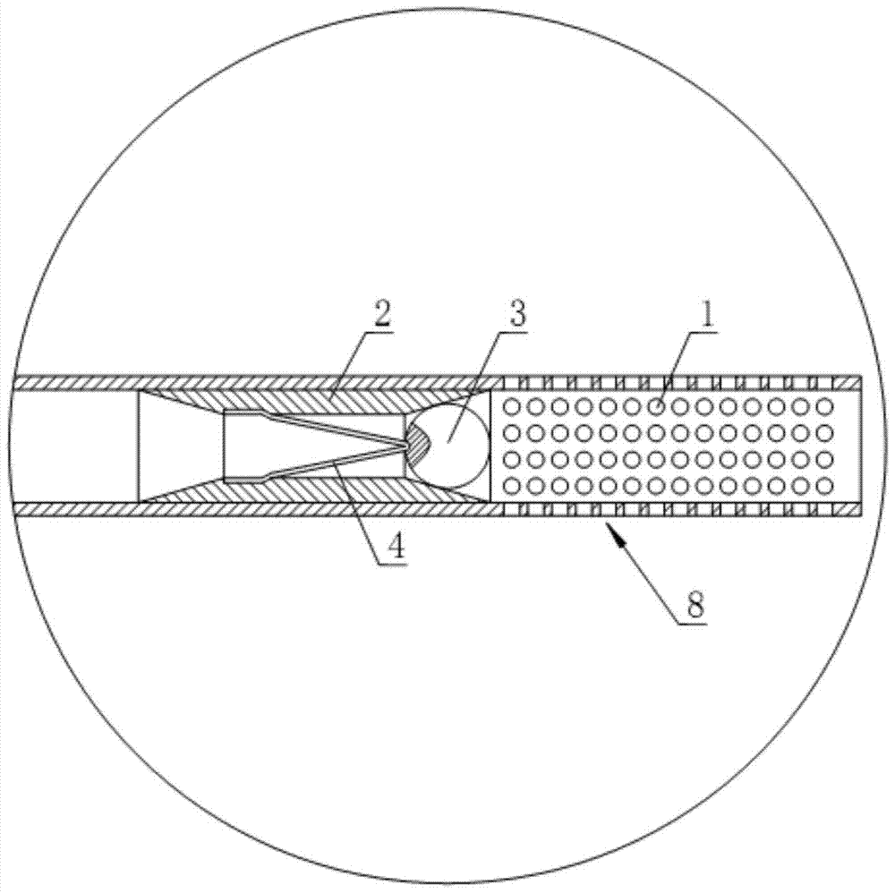 A kind of anti-reflux biliary drainage tube