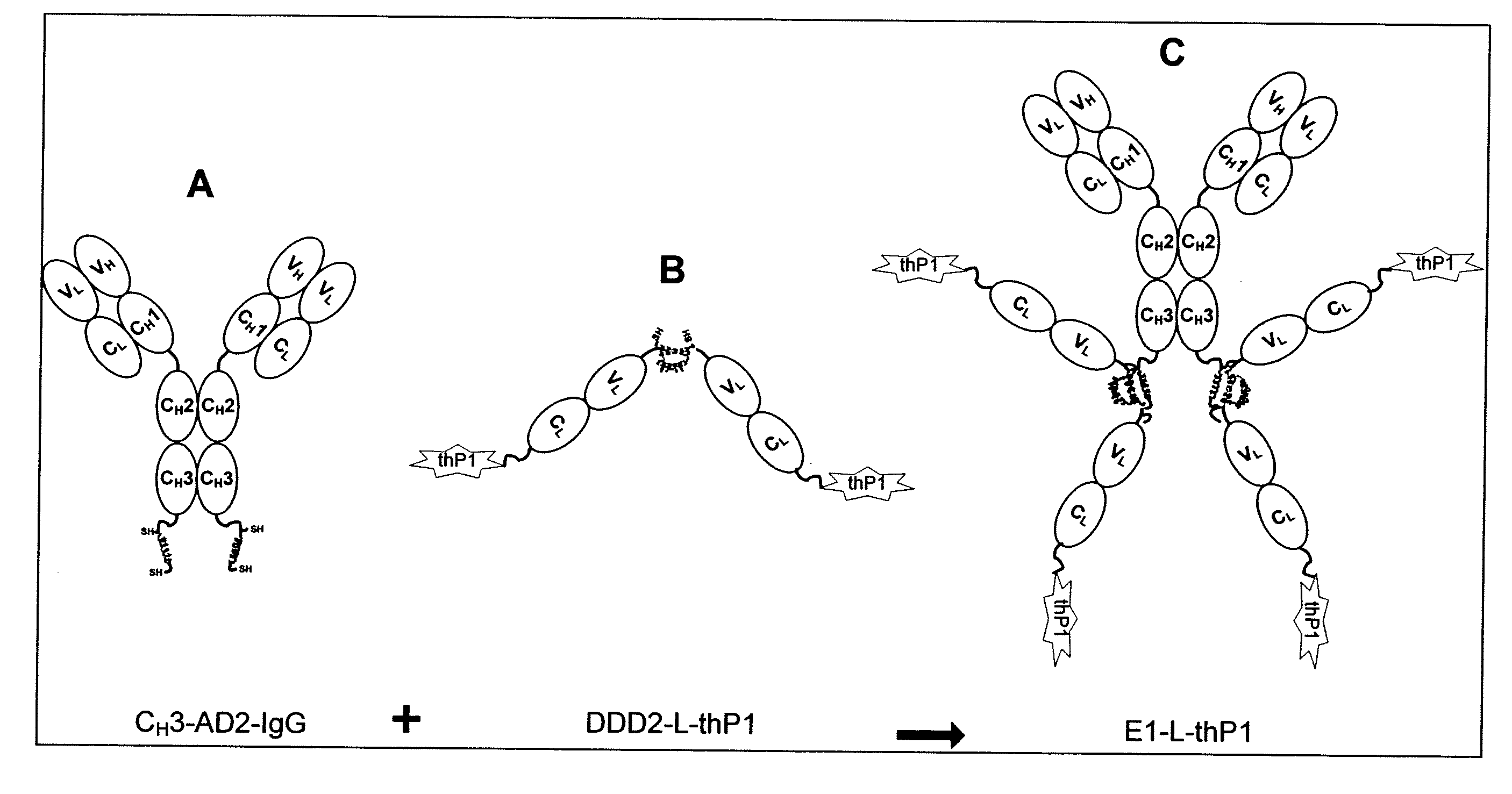 Dock-and-Lock (DNL) Complexes for Delivery of Interference RNA