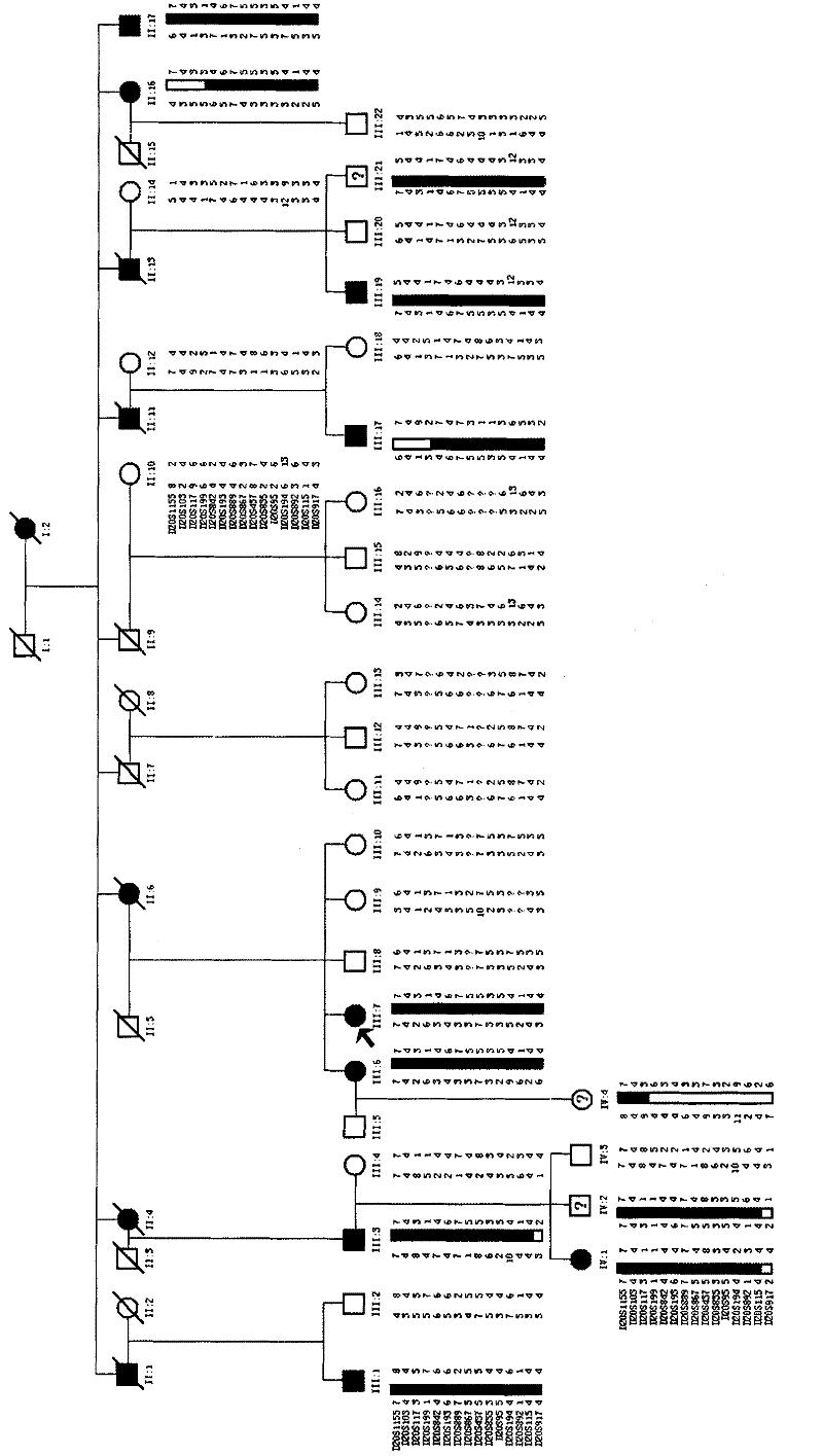 Identification method for genetic disease-related gene