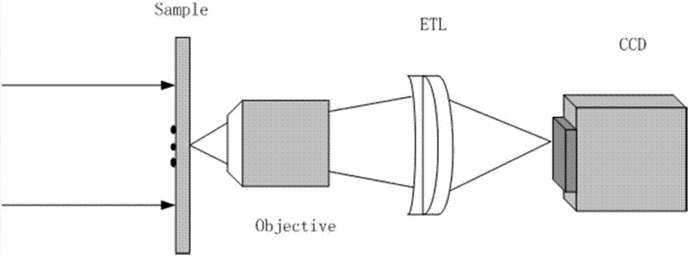 Portable phase quantitative determination device