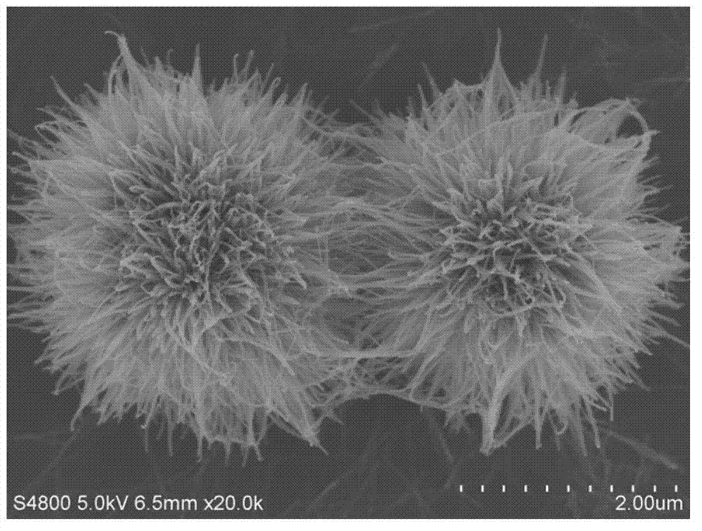 Three-dimensional flower-like TiO2 microspheres composed of nanowires and preparation method thereof