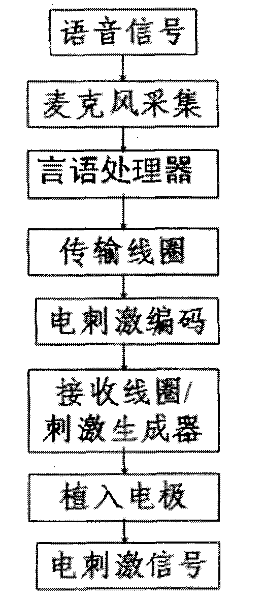 Artificial electronic cochlea and method for processing speech with double stimulation rates