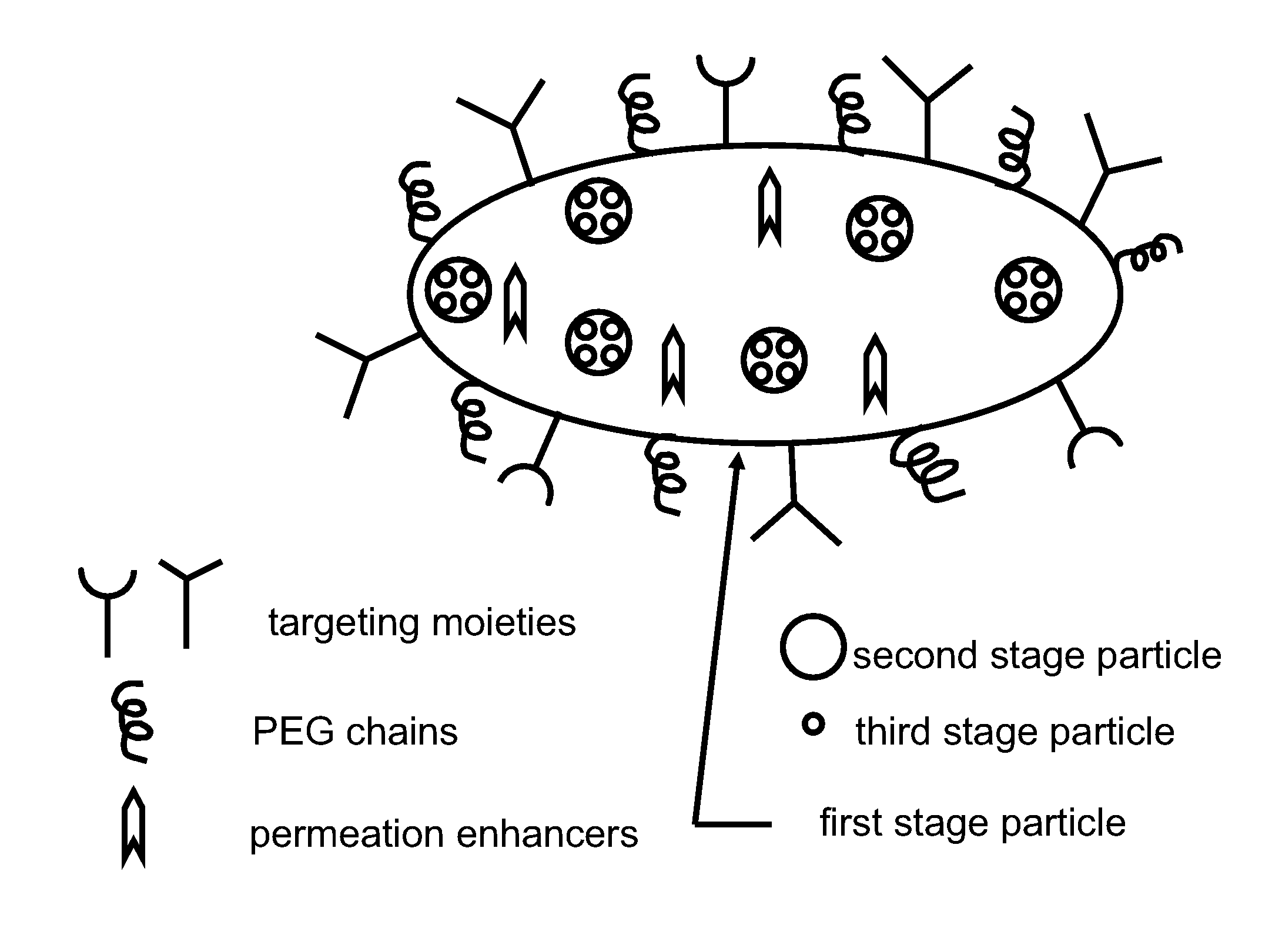 Multistage delivery of active agents