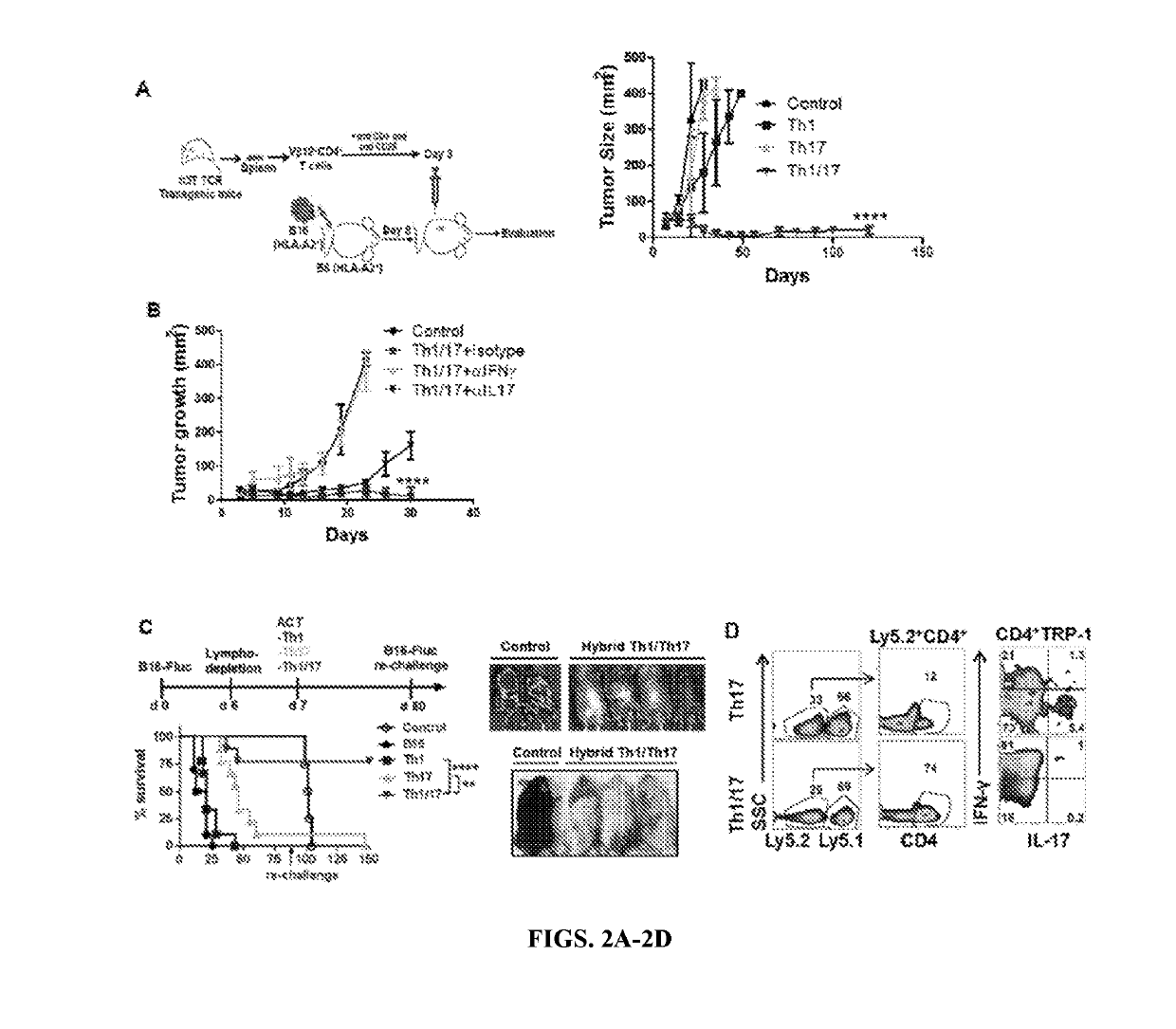 Cd38-nad+ regulated metabolic axis in Anti-tumor immunotherapy