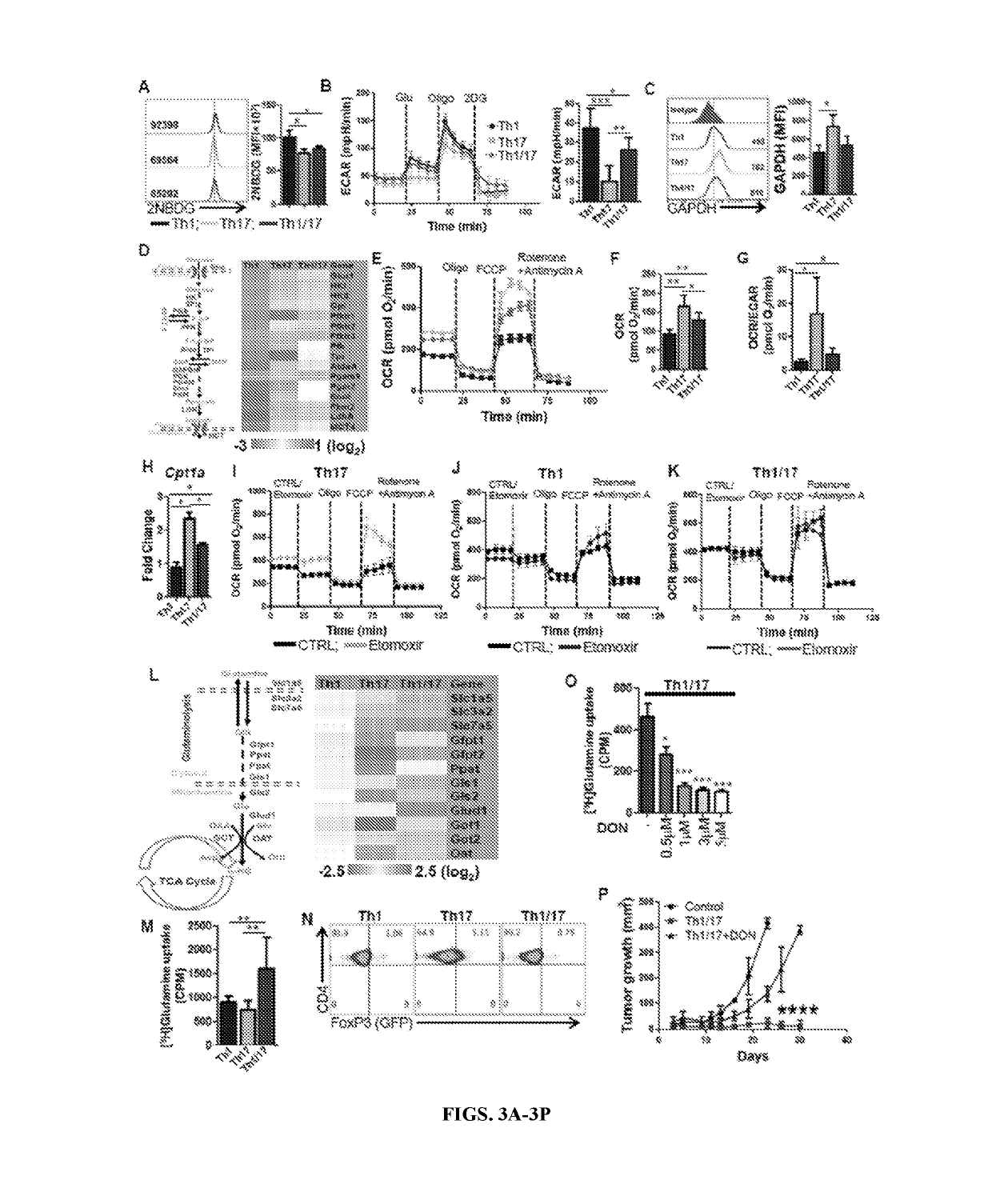 Cd38-nad+ regulated metabolic axis in Anti-tumor immunotherapy