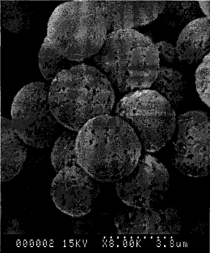 Method for extracting genistein from plant nepeta japonica maxim