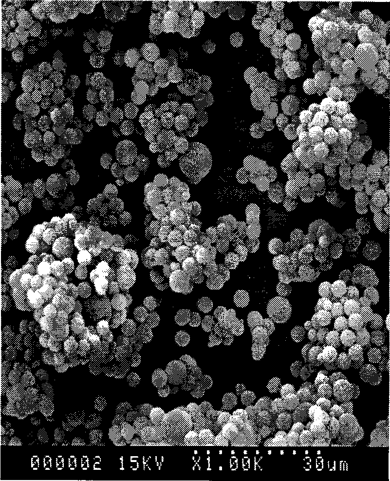 Method for extracting genistein from plant nepeta japonica maxim