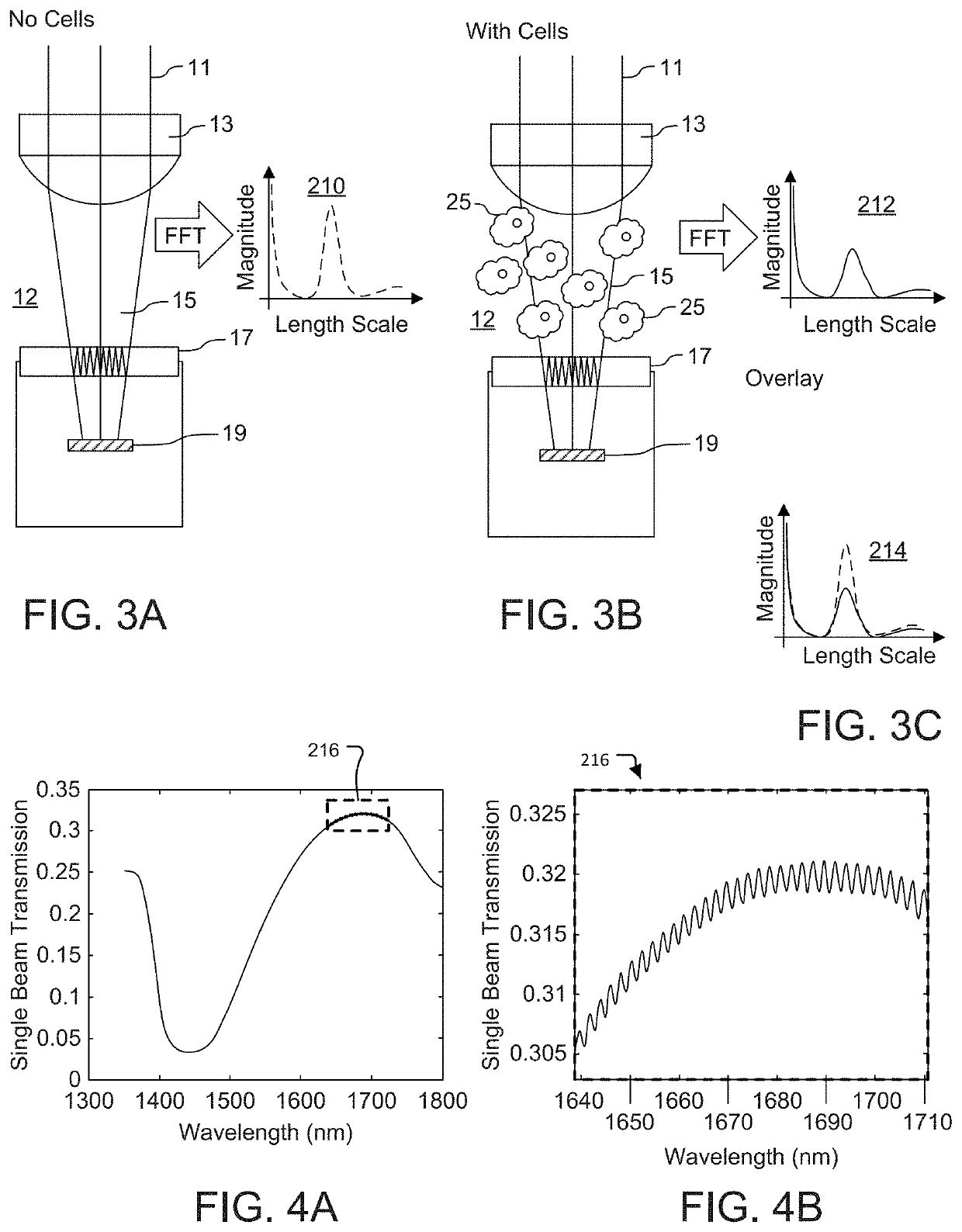 Fabry Perot Interferometry for Measuring Cell Viability