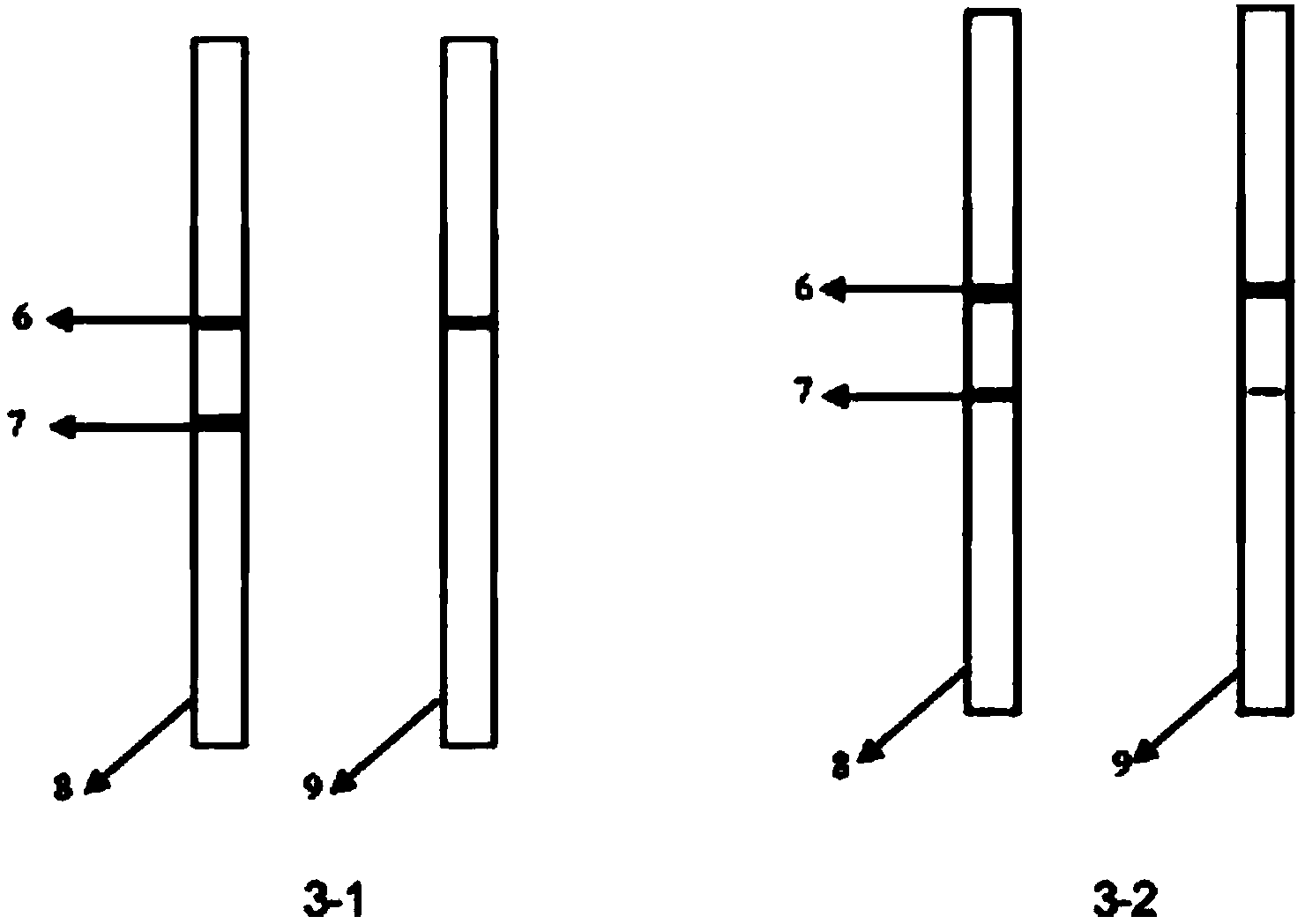 Hybridoma cell strain 2D3, monoclonal antibody to zearalenone secreted by same and application of monoclonal antibody