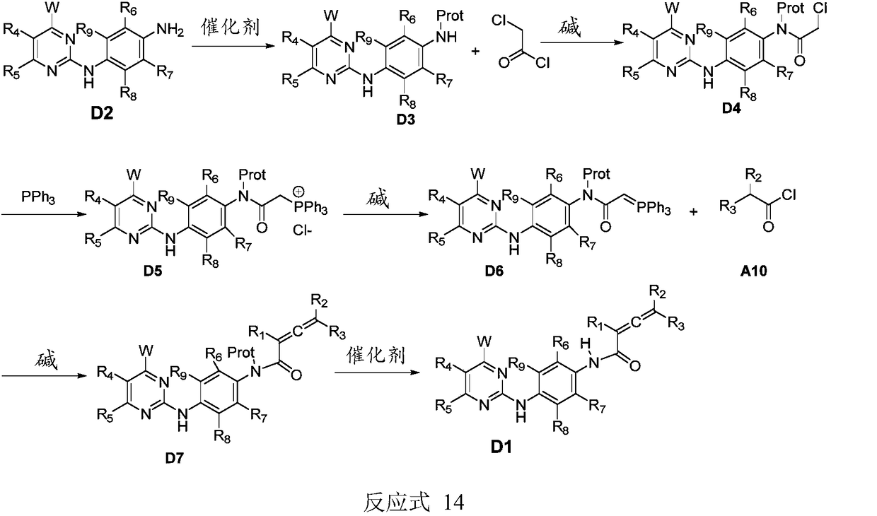 Compound containing conjugated allene amide structure and preparation method, medicine composition and application thereof