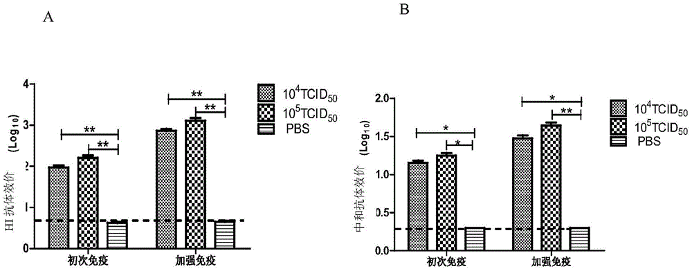 Preparation and application of hadv chimeric vaccine with influenza virus as carrier