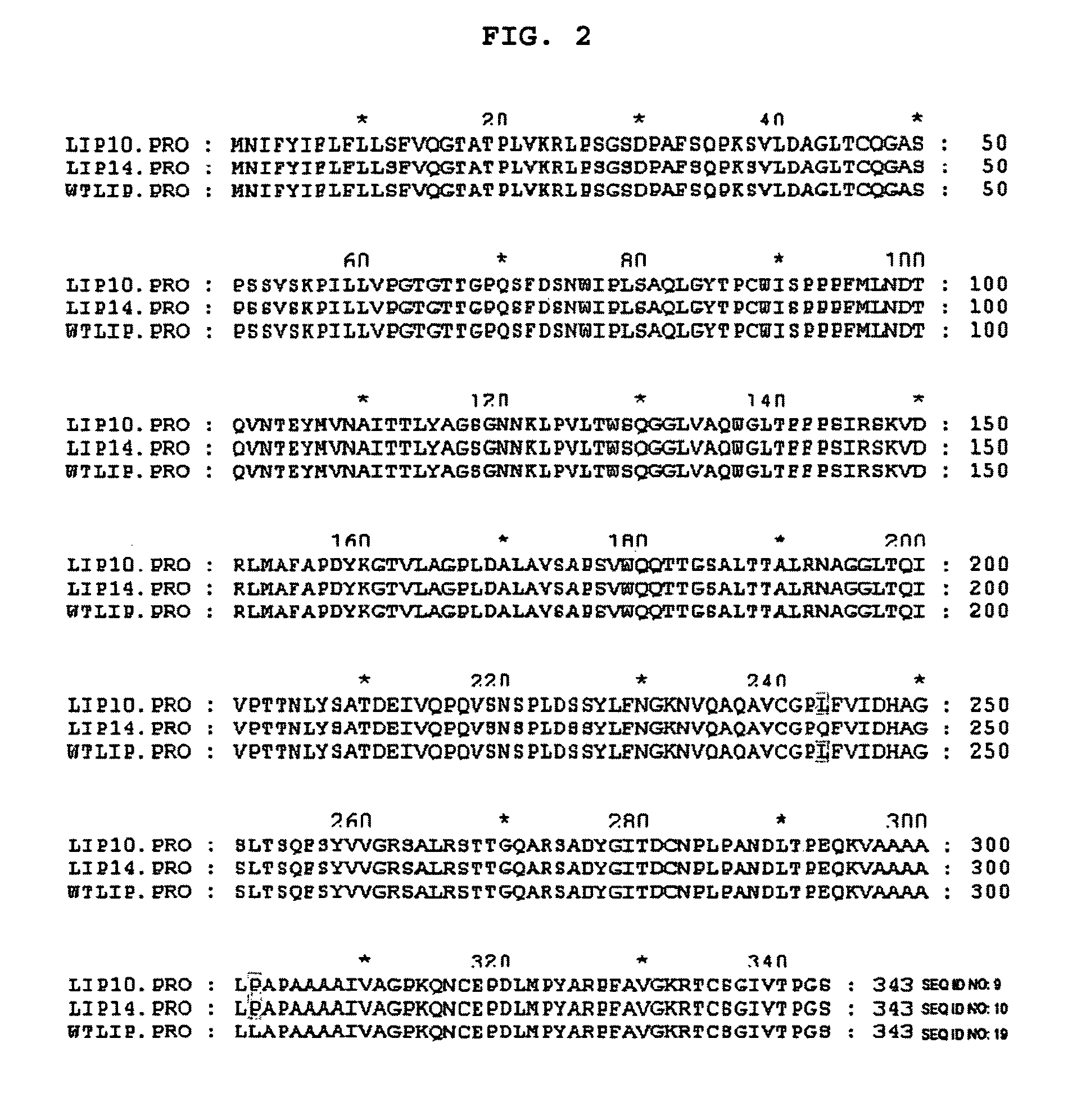 Method for screening of a lipase having improved enzymatic activity using yeast surface display vector and the lipase