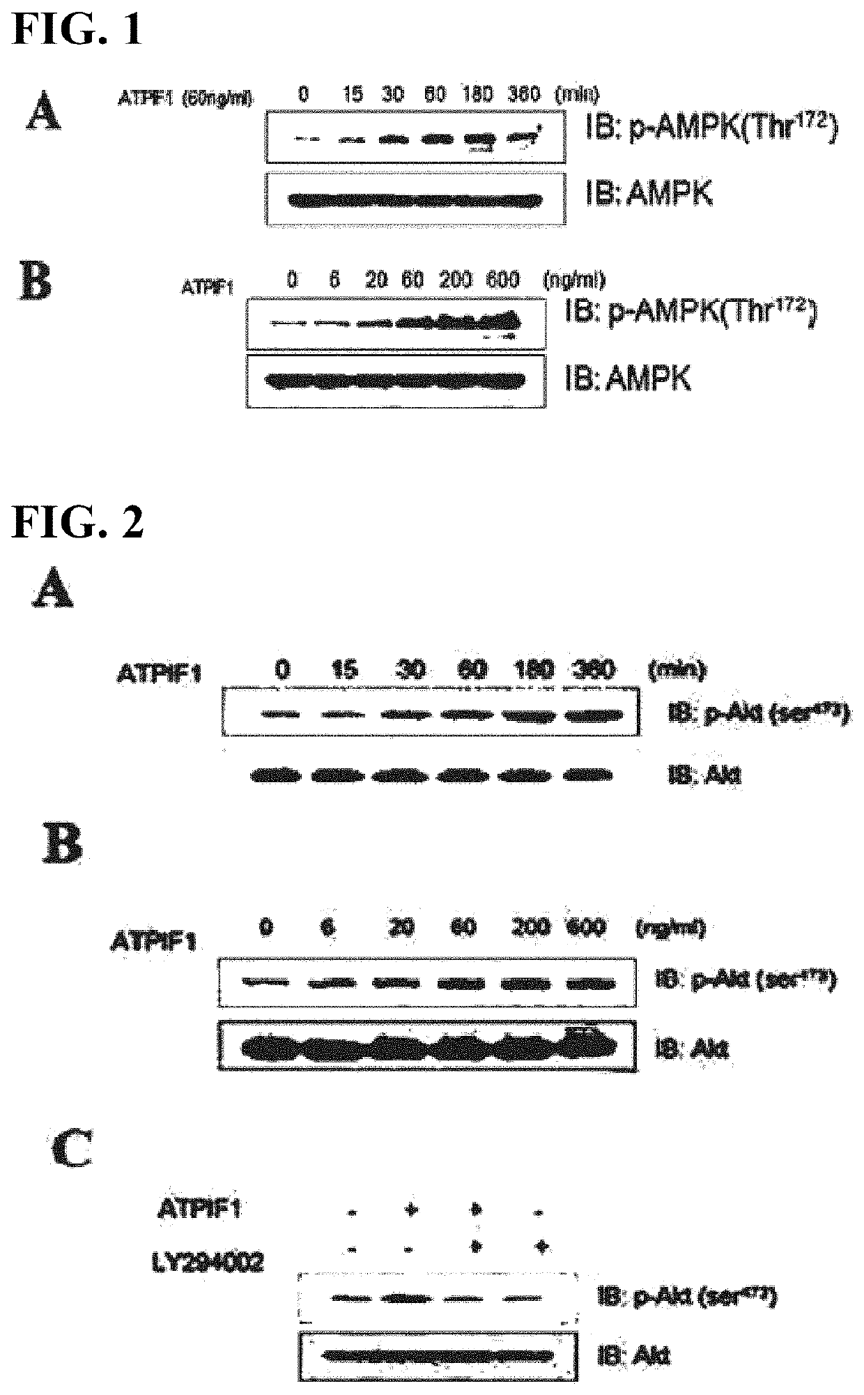 Pharmaceutical composition containing atpif1 for treatment of diabetes