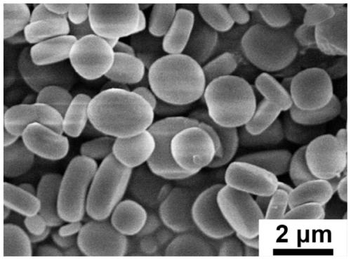 Preparation and application of titanium-based metal organic framework modified diaphragm