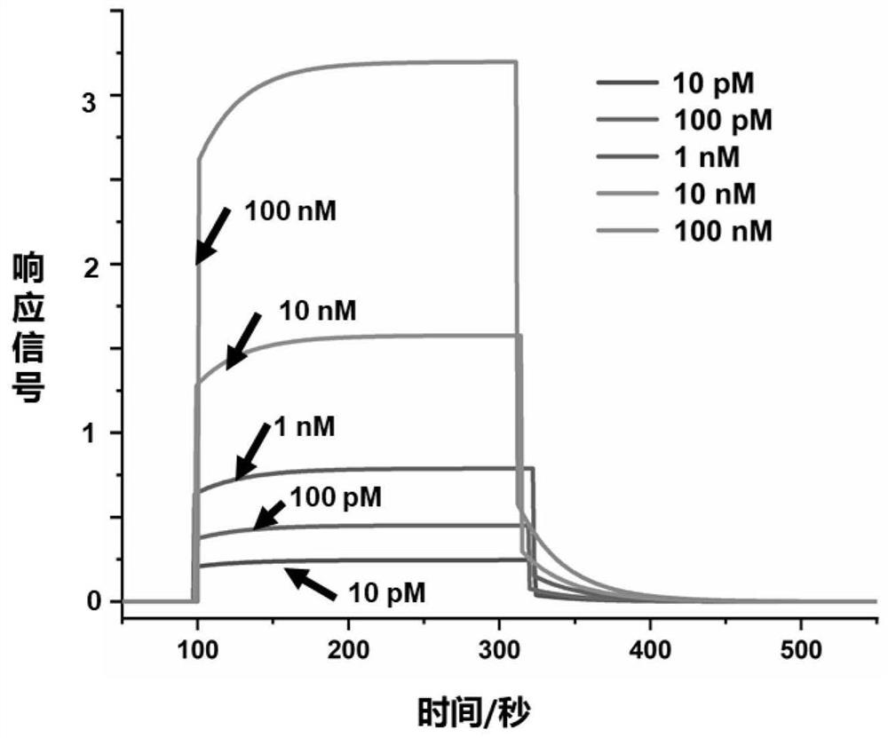 Peptoid targeting Abeta42 fibrosome as well as preparation method and application thereof