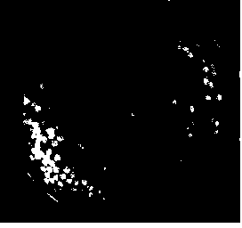 Preparation method and apparatus of chitosan beads