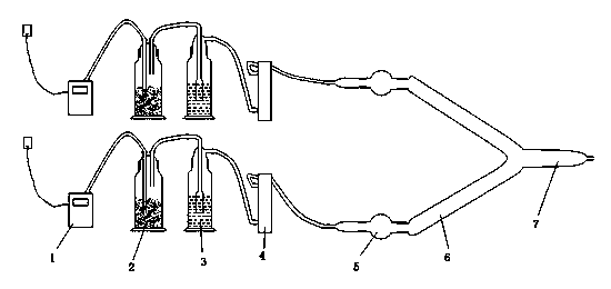 Bactrocera minax sex pheromone, and extraction method and application thereof