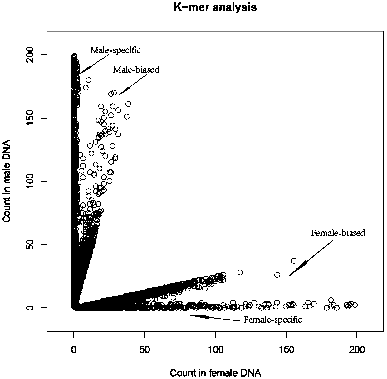 Molecular marker for early identification of sex of A. arguta young seedlings and application of molecular marker