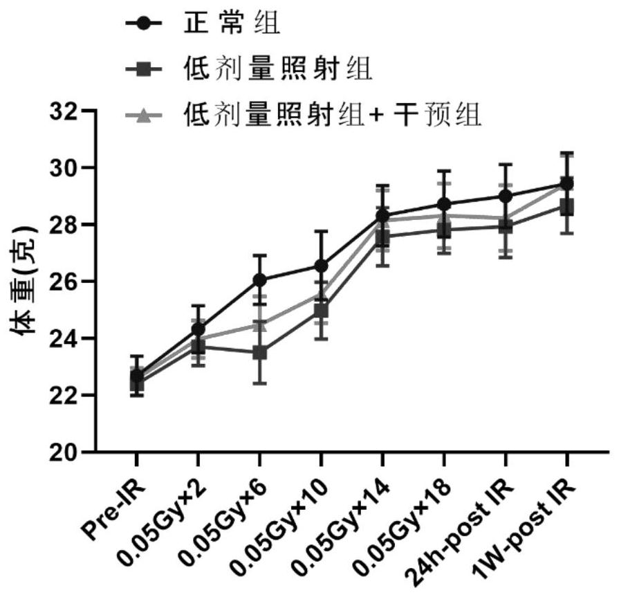 Probiotic composition for relieving cognitive impairment caused by long-term low-dose radiation exposure and application thereof