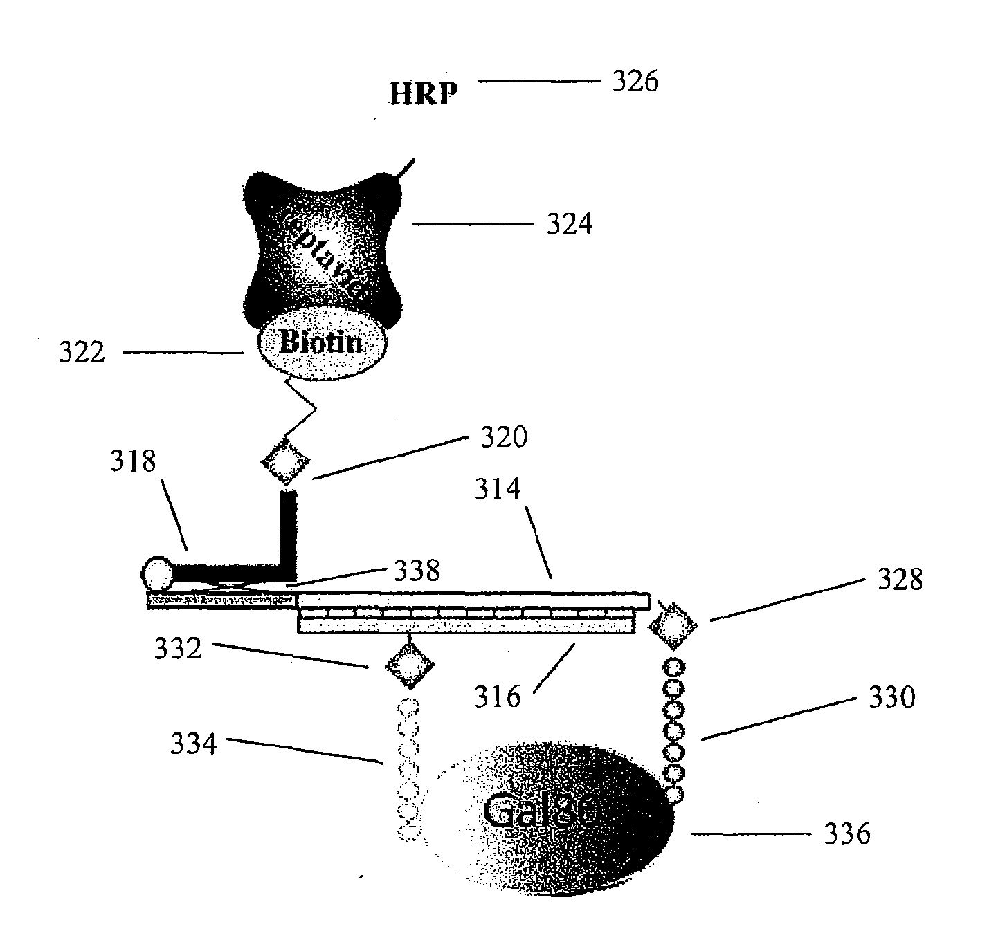 Synthetic Antibodies