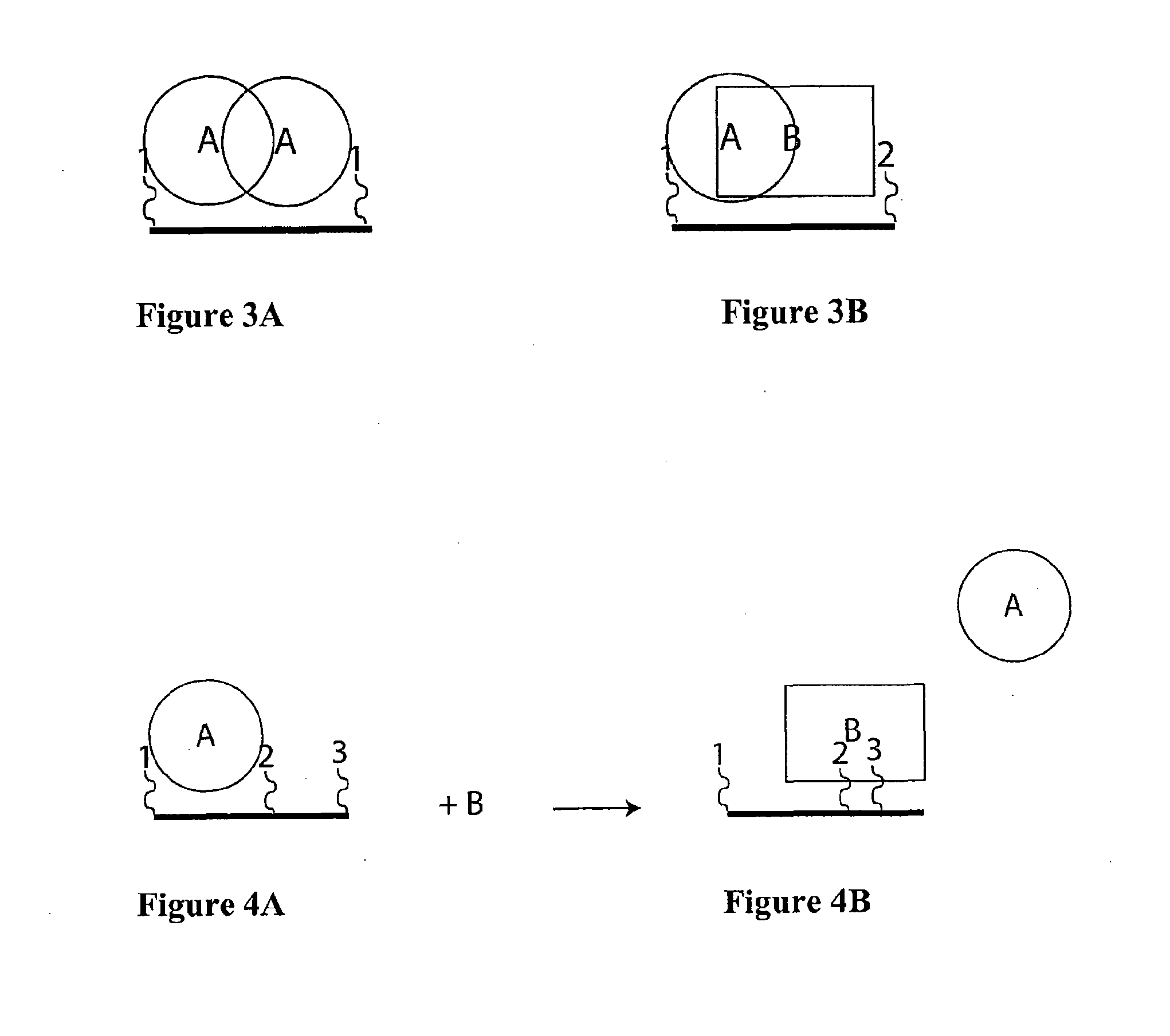 Synthetic Antibodies