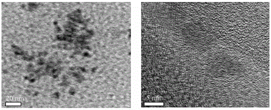 A method for rapid determination of rice gluten content based on quantum dots